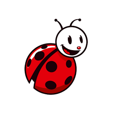 Biedronka